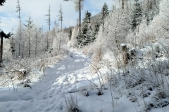 2.-beh-na-Hrebienok-7_12_2024-56