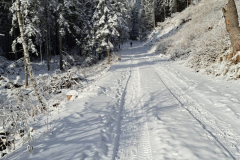 Zelene-pleso-6_12_2024-5
